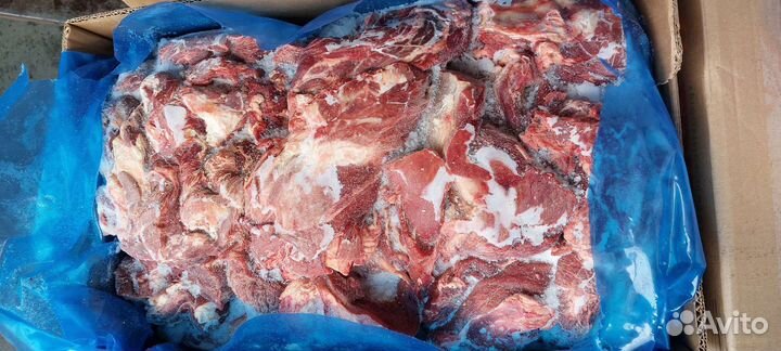 Мясо говядины,передние четверти Бразилия,Парагвай