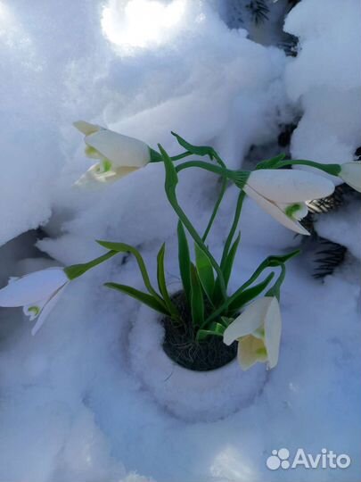 Цветы Подснежники из полимерной глины