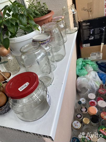 Цена за всё