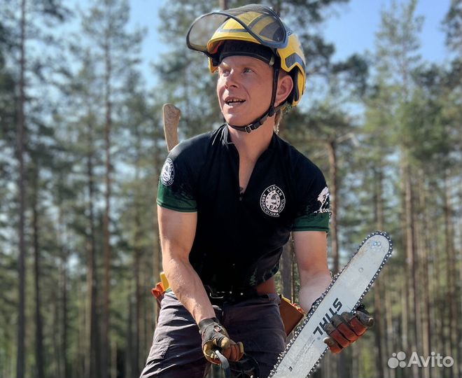 Спил удаление деревьев