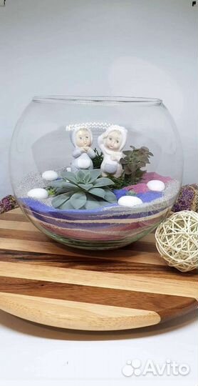 Композиция из настоящих растений