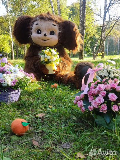 Экспресс поздравление Ушастик ростовая кукла