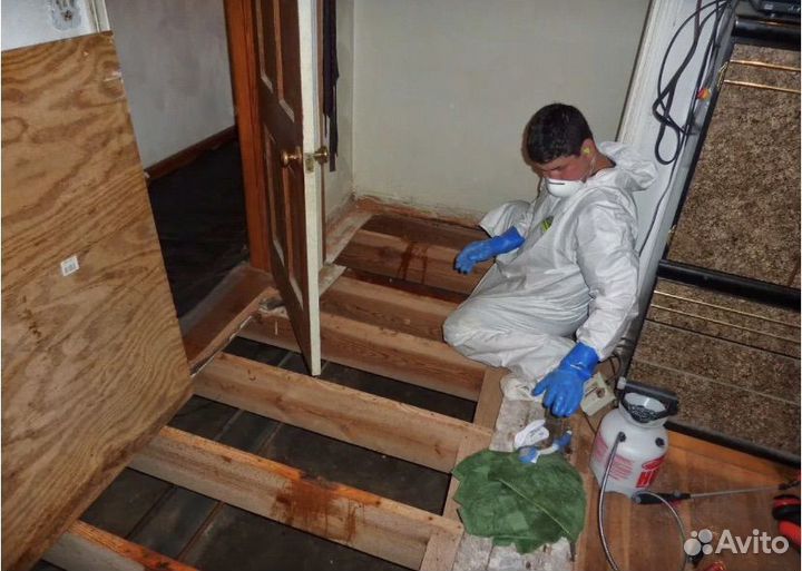 Уборка после смерти / Удаление запахов / Демонтаж