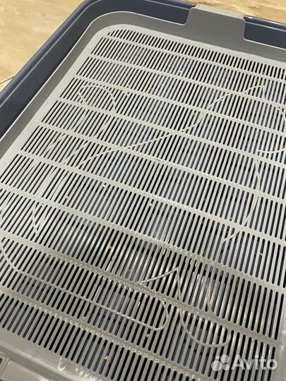 Лоток для кошек