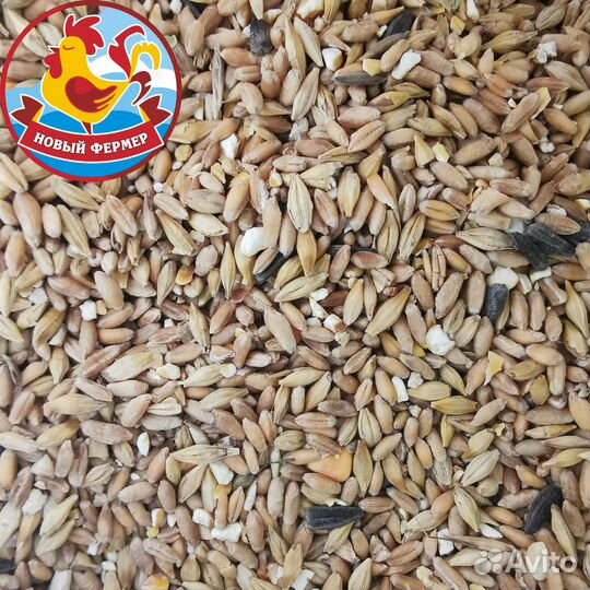 Зерновая смесь