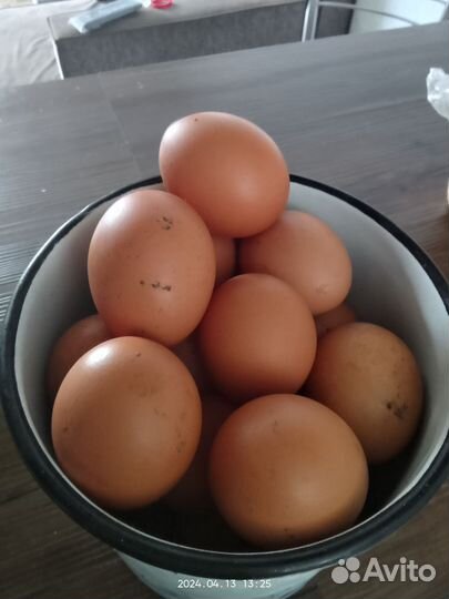 Домашние куриные яйца