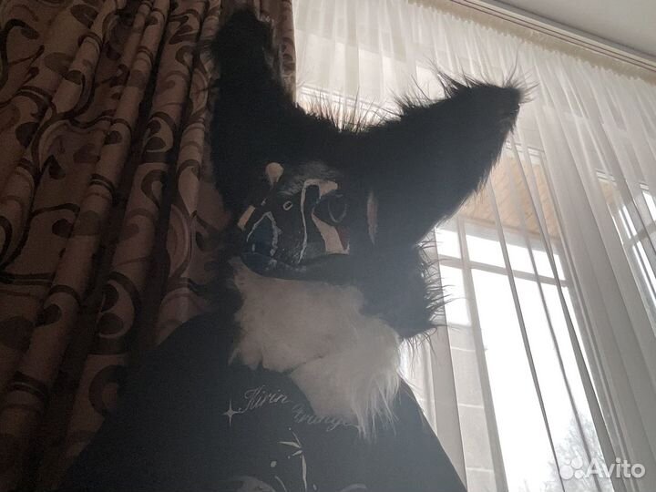 Раптор фурри