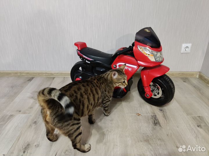 Детский электро мотоцикл