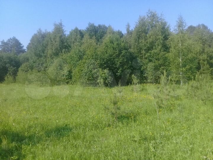 Участок 21 га (СНТ, ДНП)