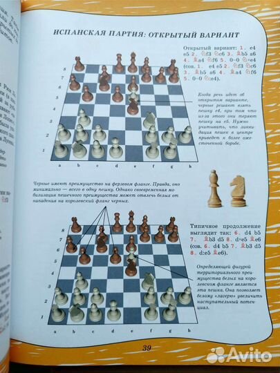 Большая энциклопедия шахмат