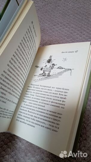 Терри Пратчетт Кот без прикрас