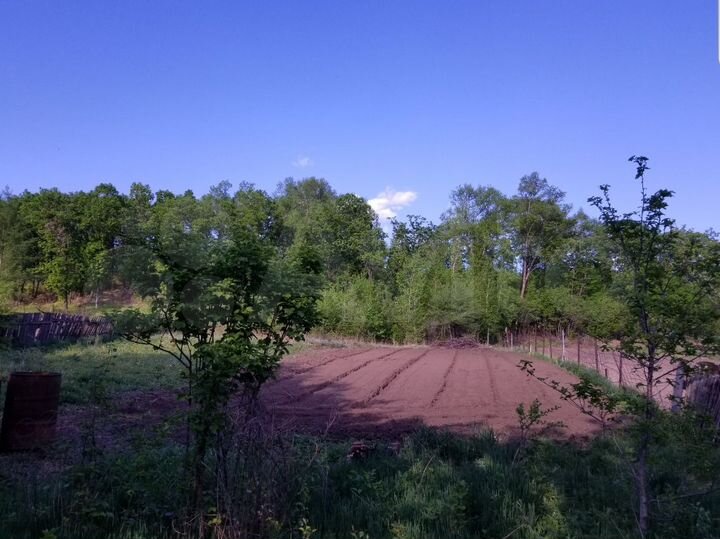 Дача 12 м² на участке 13 сот.