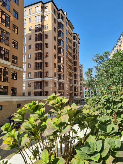 2-к. квартира, 32,5 м², 11/12 эт.