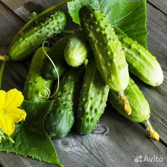 Огурцы свежие с грядки