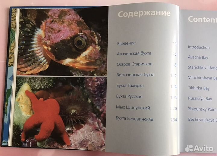 Книга Фотоальбом подводный мир камчатки раритет