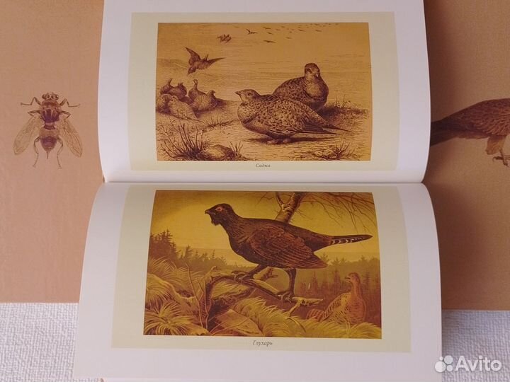 Альфред Брем Жизнь животных книги