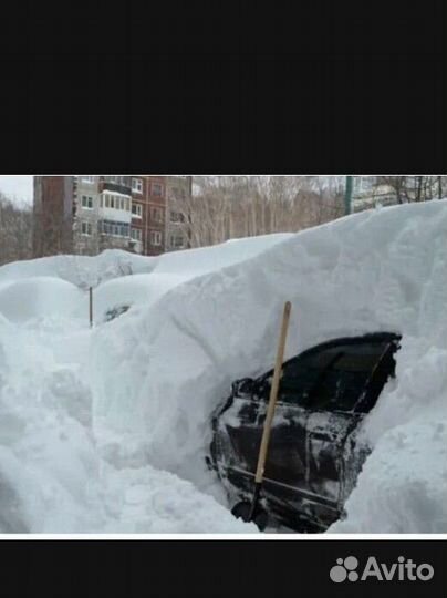 Откопала или откапала. Машина под сугробом. Машина в сугробе. Машину засыпало снегом. Откопать машину.