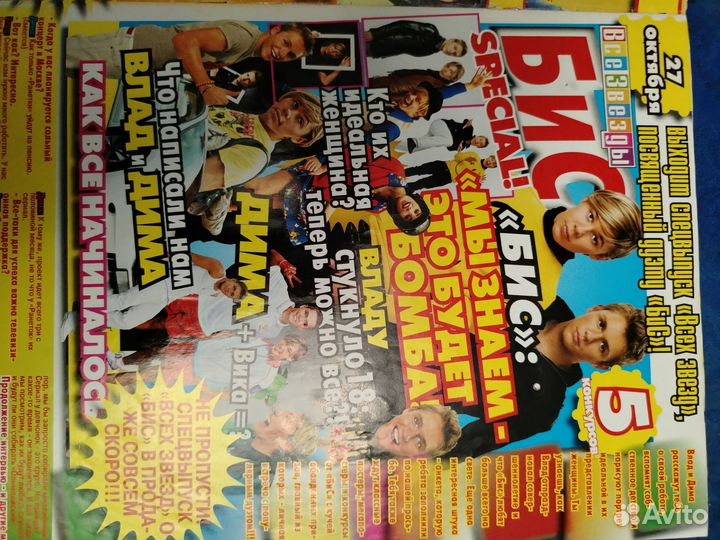 Группа бис статьи 2