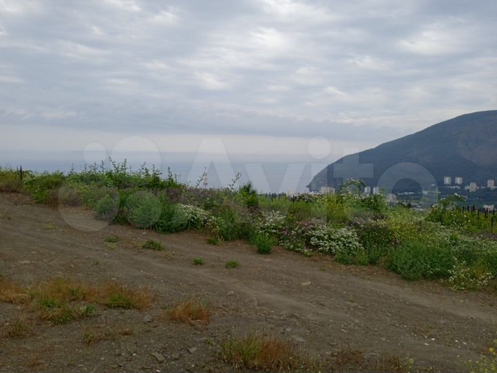 Участок 25,5 сот. (ИЖС)