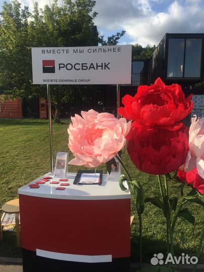 Большие Ростовые Цветы