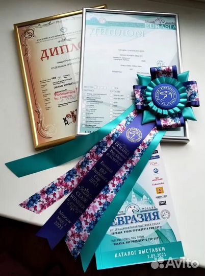 Китайский Чунцин вязка