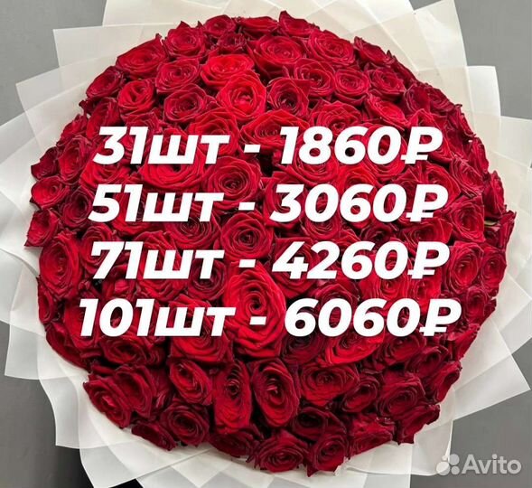 Роза 31,51,101,151,201,251, букет из роз