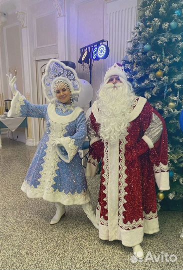 Дед Мороз, Снегурочка домой, офис, сад, корпоратив