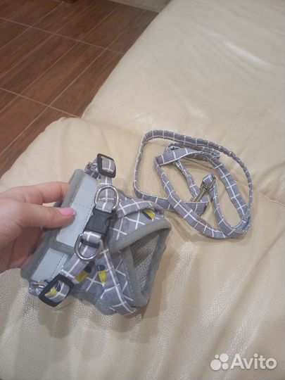 Шлейка для кошек с поводком