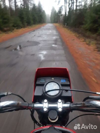 Зид Пилот 50