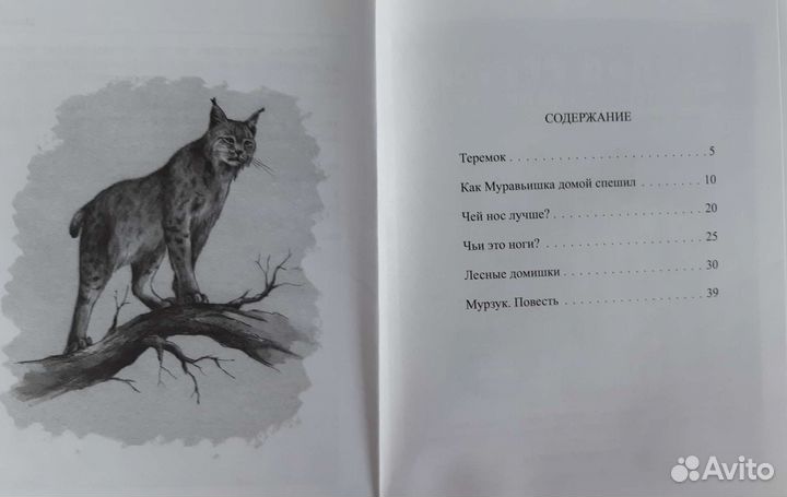 Бианки, сборник рассказов