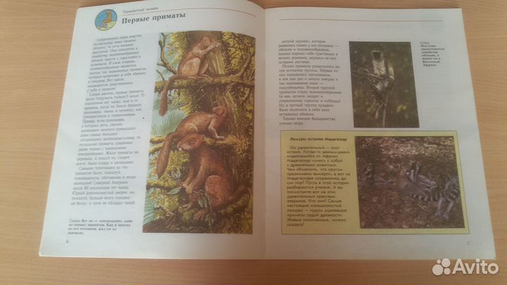 Детские книги из серии энциклопедий