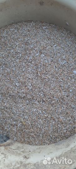 Продам отруби