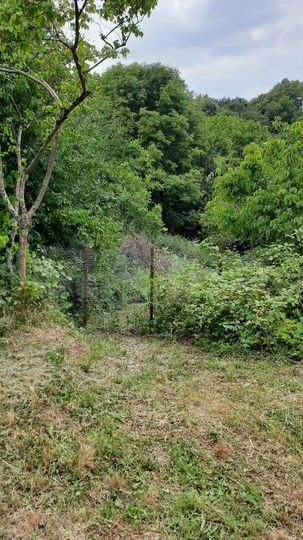 Участок 16 сот. (ИЖС)