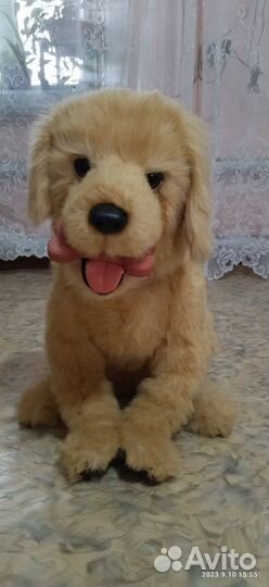 Интерактивная собака