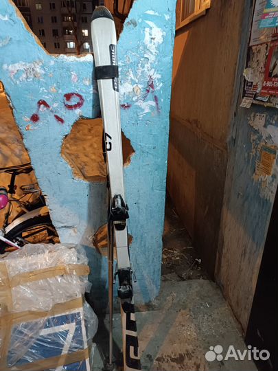 Горные лыжи