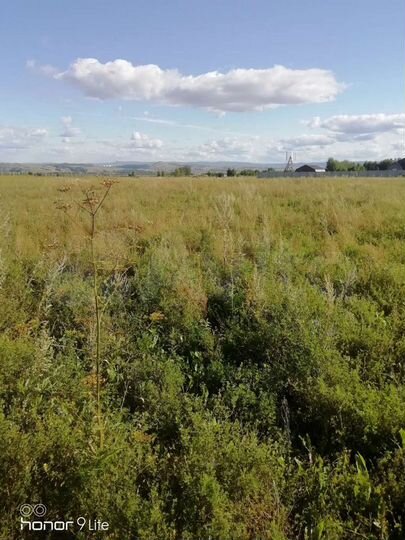 Участок 13,67 га (СНТ, ДНП)