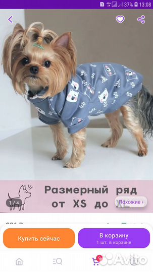 Продам толстовку для собаки р xs