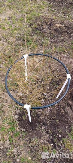 Опора для растений Кустодержатель