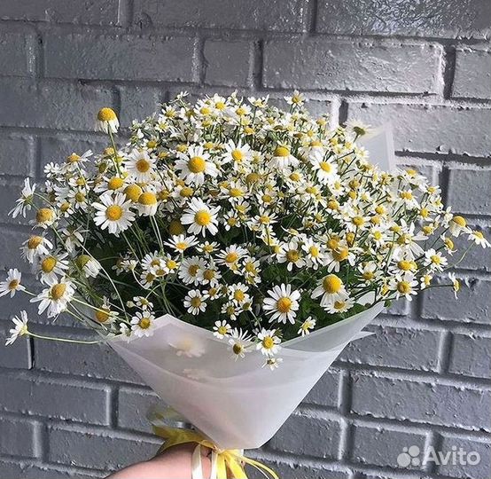 Доставка цветов. Ромашки