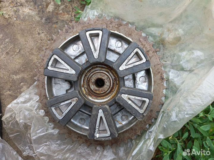 Звездочка ява