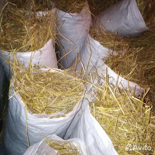 Солома в мешках 50л