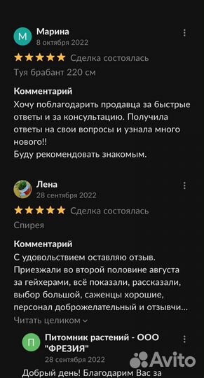 Саженцы Малины,Смородины,голубики, жимолости