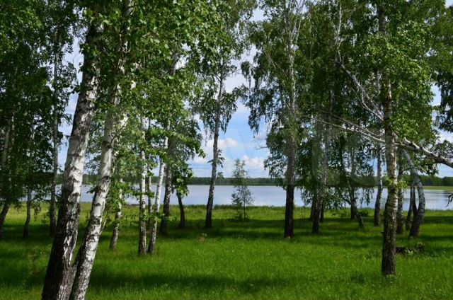 Фото новосибирского района новосибирской области