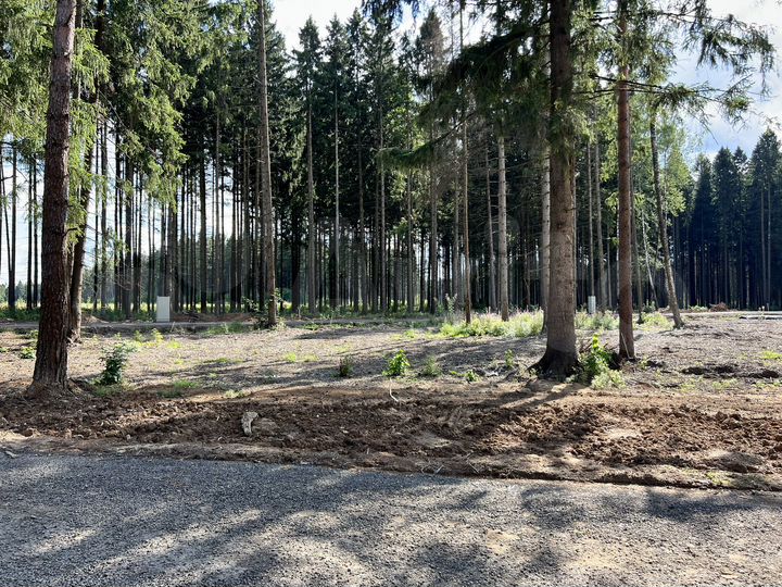 Участок 7 сот. (ИЖС)