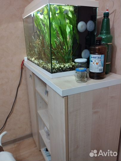 Аквариум с тумбой