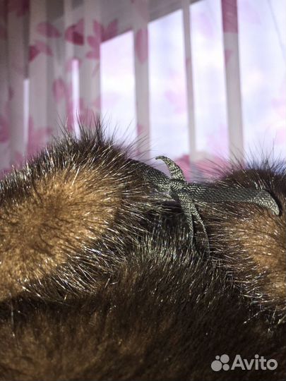 Шапка-ушанка норковая