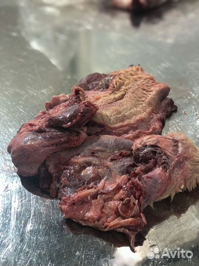 Мясо для собак говядина Подъязычный срез