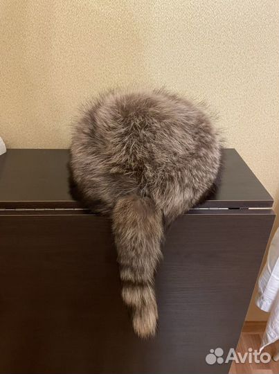 Шапка