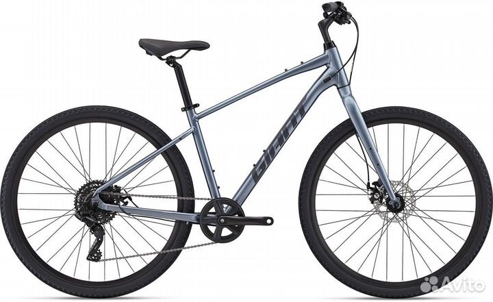 Giant Cypress 3 City 2022