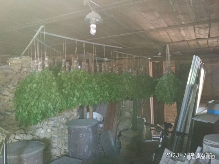 Веник берёзовый